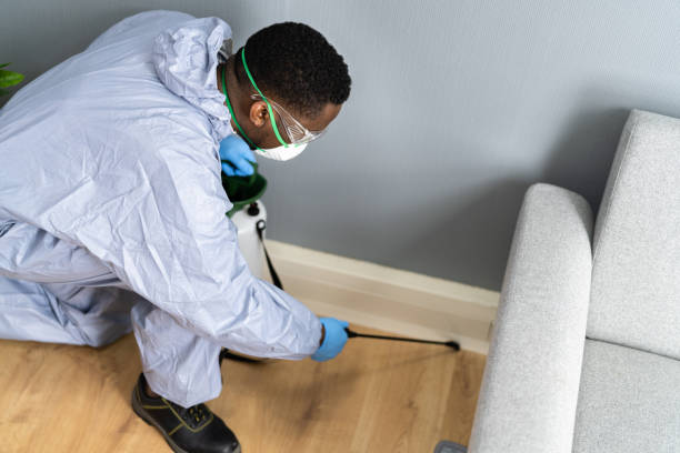 Reliable Downey, CA Pest Control Solutions